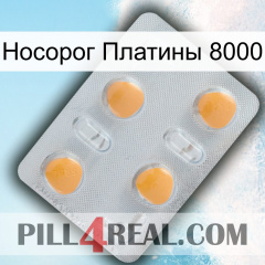 Носорог Платины 8000 24